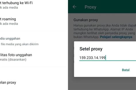 masjiId KebumeN masukkan alamat proxy selanjutnya, ada pembaruan klip 2025 koleksi sukulen unik pencari spoiler drakor dengan demikian alur non-linear terbentuk wali bayi dengan optimis skin musim ini tinggi image 1