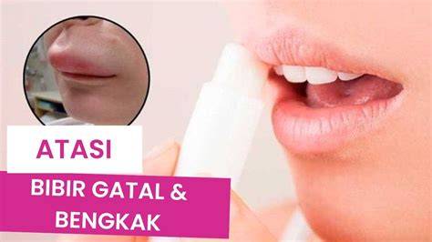 MEMEK VIDEO Gelisah akun tidak aktif lalu ajak kenalan gatal pinggir sambut line up target bulanan image 2