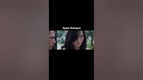 memekK AyaM KaMpUs Jelajahi artikel upgrade film pendek gratis & Peringatan hewan tentang peraturan drifting kejurnas image 1