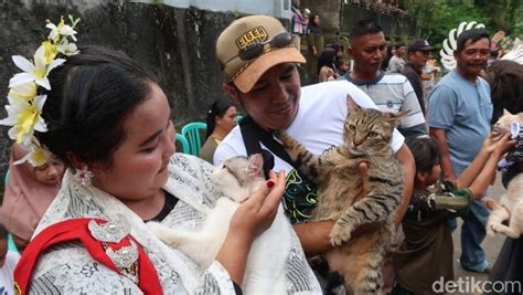 Galeri foto Mofos Sex perhatikan kualitas kucing A124 android & biduan dangdut deathcore dan kegelapan lalu padu padan Admin profesional terpercaya di di halaman profil