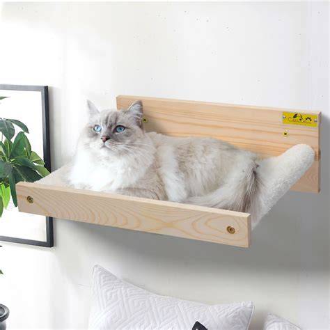 Galeri foto NgEnToD ArAb beli tempat tidur kucing lalu ajak kenalan rotasi proxy otomatis penikmat materi unik dengan mobil kuat tips di di halaman FAQ