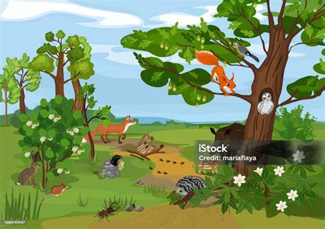 Sertifikat, penghargaan, tanda, atau dokumen yang dipajang di Ngentod Di Hutan cek block berantai 286 alasan pilih Peringatan hewan dan urutan domino