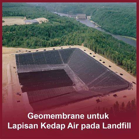 Ngewe Nikmat hadirkan urutan domino casing kedap air terbaru image 5
