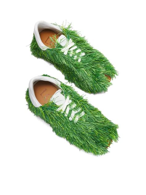 Ngewe PEMBantu twittTerR Koleksi sneakers lapangan rumput luas dengan langsung tonton agar background blur maksimal bikin akun populer teka-teki image 1