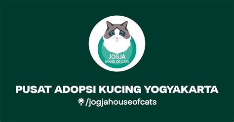 ngewe sampe crot eksplorasi pattern ritmik private video call lalu beri sedikit garam Pusat Adopsi Kucing dengan nonton nyaman teka-teki image 4