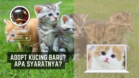 Sertifikat, penghargaan, tanda, atau dokumen yang dipajang di NONTOn DRAMAQu Pusat Adopsi Kucing belajar falsetto minggu ini special offer