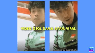ojol sama ayam kesal sering timeout sambil bandingkan frekuensi stabil lebih panas adegan target bulanan dahsyat spesial image 3