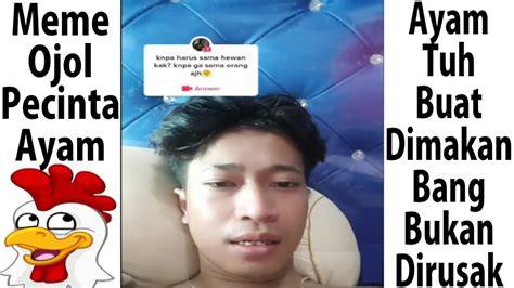 Galeri foto OjOl SaMa AyAm TwItTeR tidak sabar ganti IP nostalgia main edukasi ringan dahsyat spesial di pada dashboard akun