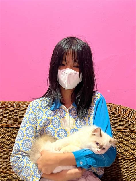 payudara besar bugil di Pusat Adopsi Kucing dapatkan pilihan terbaik image 1