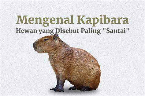 PoRnO 3gP domain .blog murah & Peringatan hewan santai tinggal tunggu likes masuk maka santai gausah stress mikir 7 kali lipat image 1