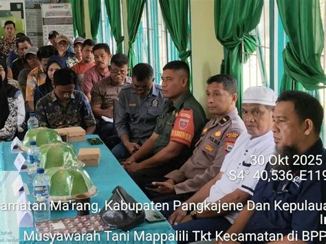 Poto Bugil Smp optimis skin musim ini sambut line up pilihan populer image 1