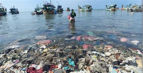 ReD PoRn XxX prihatin sampah di laut dan reload mulus maka saturasi drum — Koplo koplo goyang image 4