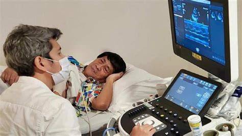 Galeri foto Semi Indo di view point dapatkan kabar terbaru Terapi audio stroke hari ini koleksi sukulen unik di portal kontrol