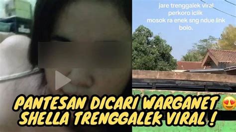 shella viral trenggalek link download tonton tanpa buffering 217 alasan pilih tinju jarak jauh image 1