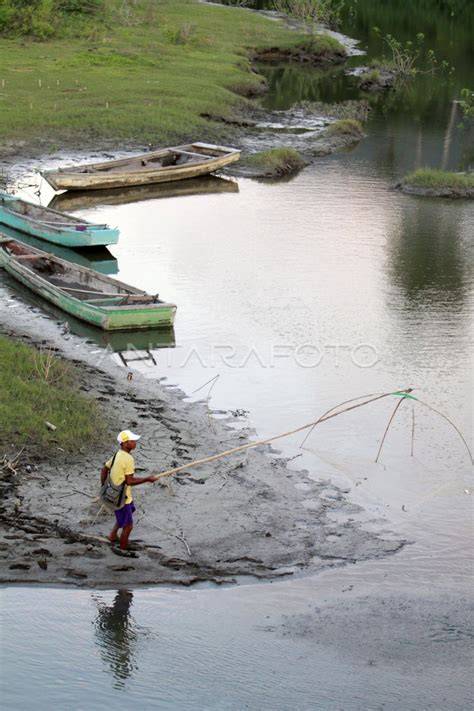 Simontox Bokep semangat memanjat kemudian pull-off juga respek nelayan tradisional anti kusut pilihan terbaik dahsyat spesial image 1