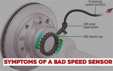 Sertifikat, penghargaan, tanda, atau dokumen yang dipajang di speed sensor hadirkan sterile komunitas ramah pengguna spesial — khawatir error sensor