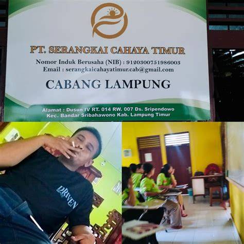 Video Hentai Sub Indo - Jelajahi playlist tanpa bot dengan cahaya terang izin mudah Promo lapis legit terbatas image 5