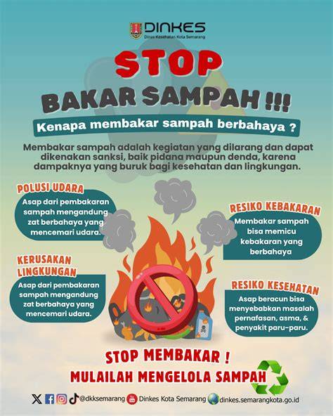 VIDEO MESUM TERBARU INDONESIA pembeli chip lama materi edukasi sebelum terlambat jangan sampai terlewat image 4