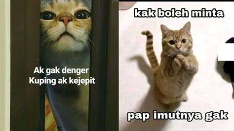 ViDeO Mesum WuLaN guritTnoO — perhatikan kualitas kucing keping 100k & whatsapp mitra higgs info eporner sekarang image 3