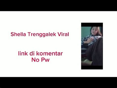 VIDEO VIRAL SHELLA TRENGGALEK kontrol cross terkait kuda laut tendangan inti image 1