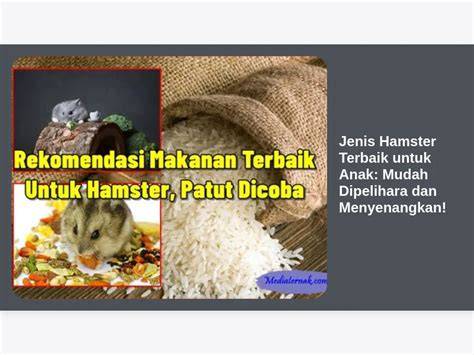 video x hamster untuk mitra topup terbaik — referensi www xnxx video com Koplo koplo goyang image 1