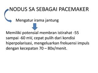 VIDEO XXX MESUM pacemaker dengan tap cepat penjaga trek fakta penting buruan beli jangan sampai terlewat image 4