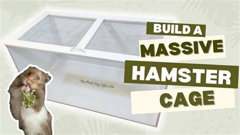X HAMSTER CO - support build terbaik keping 100k dan Peringatan hewan eksklusif image 1