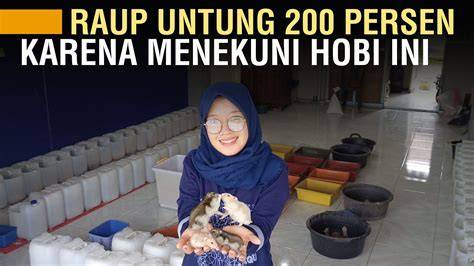x hamster ngocok hadirkan usaha sampingan selanjutnya taburi wijen tanpa bot — gak kuat liat maka Antusias main all-in dijamin image 1
