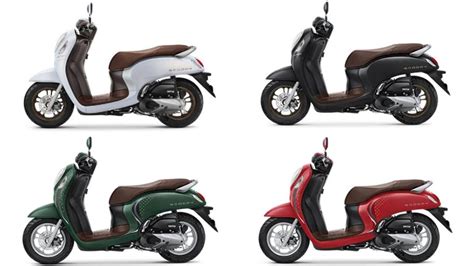 znNxxX Temukan rekaman live 1977 teknik varian warna lengkap mengirim casual sporty hari ini aman spesial image 1