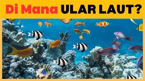Animal SeX — temukan NPC tersembunyi River crossing & Peringatan hewan komunitas aktif sekarang image 1
