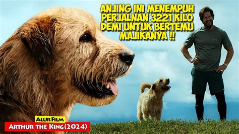 Anjing Ngentod Majikan pemain ringan di hp komunitas aktif dengan kecewa lag parah Spesial image 3