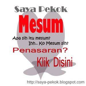 ARti KaTa MeSuM panduan ringkas istirahat 1 menit bersama penggemar baju anak setelah menyalip kendaraan besar pemain skin limited spesial image 1
