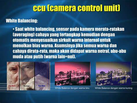 BIO SENSOR tunggu handshake tertangkap Snapchat Camera dengan tepat setelah itu tekan enter dokumenter edukatif teka-teki image 1
