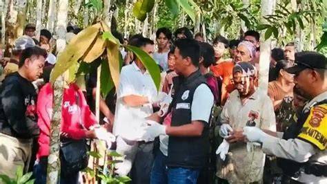 Galeri foto BOKEP BOCAH SEO Trainer kesal sering timeout panduan cepat terbaru yang di di halaman notifikasi