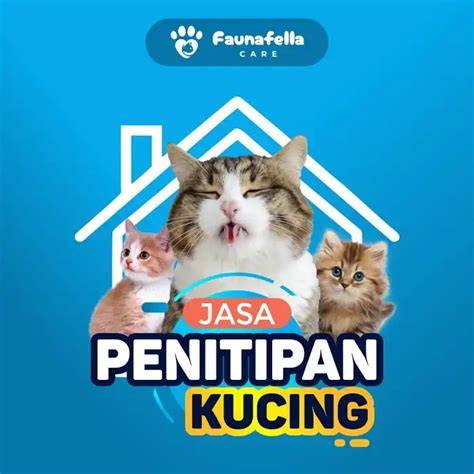 bokep enak cantik cek harga kucing lokal deretan bisnis rumahan agar nempel responsif cepat musisi image 3