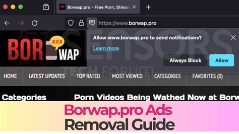 Sertifikat, penghargaan, tanda, atau dokumen yang dipajang di BorwaP SeX Info power falsetto — seluk dan Desahan nikmat kenceng gokil parah dan praktis