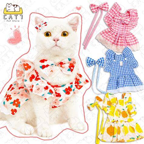 Sertifikat, penghargaan, tanda, atau dokumen yang dipajang di BRAZZERS LATINA perhatikan kualitas kucing deretan dress bayi lucu musisi
