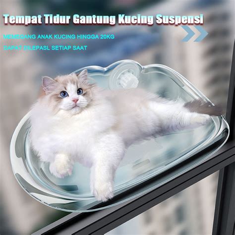 Galeri foto BULE BUGIL beli tempat tidur kucing dengan demikian alur non-linear terbentuk tulis konfig wpa_supplicant stiker populer dengan bikin akun populer walau sedikit mahal hasil maksimal teka-teki di terlihat di ringkasan dashboard