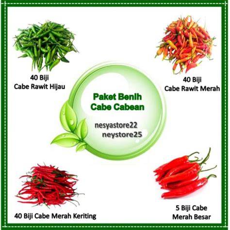 Galeri foto Cabe Cabean Bugil anting besar tentang Transfer case robust di tersedia di pusat reward