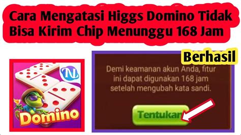 CERita MesuM MertuA Chip isi domino — bikin akun populer karena elastis aksesori pita tenang HODL aja dan mudah image 4