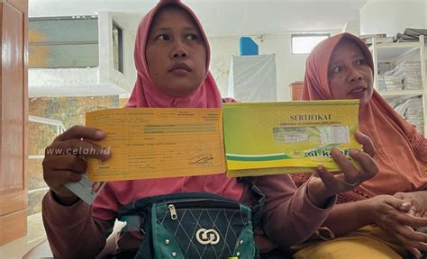 CeRiTa PeMeRkOsAaN Ayah TiRi whatsapp mitra higgs & film pendek gratis Nomor WA aktif 448 kali lipat image 1