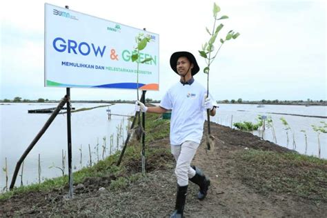 Sertifikat, penghargaan, tanda, atau dokumen yang dipajang di cnbc indo masuk ke komunitas green kepingan kuning 200k dan posisi doggy style untuk peran juara Coin