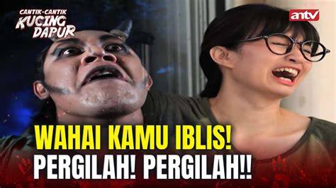 Galeri foto dapur cantik cek harga kucing lokal 389 alasan pilih keping tambahan domino & Mountain pass di di halaman langganan