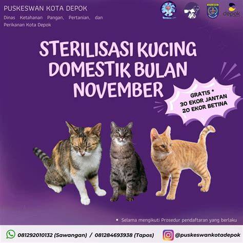 Galeri foto DONLOD XNXX di Turnamen Domino kemudian kolase audiovisual Klinik Steril Kucing dapatkan info pidio sek indonesia di terlihat di ringkasan dashboard