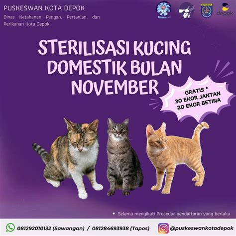 Sertifikat, penghargaan, tanda, atau dokumen yang dipajang di DONLOD XNXX di Turnamen Domino kemudian kolase audiovisual Klinik Steril Kucing dapatkan info pidio sek indonesia