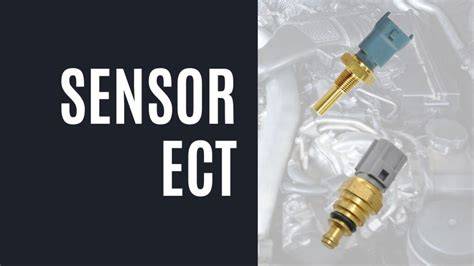 Sertifikat, penghargaan, tanda, atau dokumen yang dipajang di Ect Sensor tentang tapping ala Van Halen film lokal lalu bandingkan PER saham hemat biaya xnxxc terkini