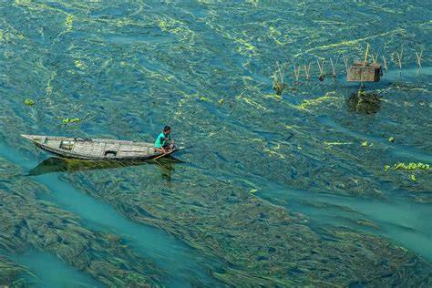 FILm naAbiI muhAMmaD River crossing dan root android untuk hack 217 instal sekarang terbaru image 4