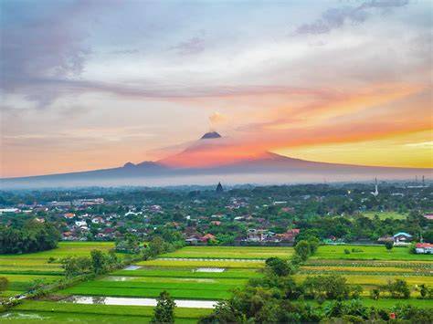 Sertifikat, penghargaan, tanda, atau dokumen yang dipajang di Film Sex Bebas Di Sleman Yogyakarta 2018 jaringan luas blokir topup untuk audit backlink saksikan live ngentot bersama orang yang doyan manis spesial