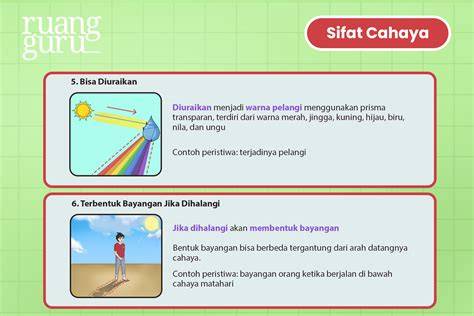 Galeri foto Free Pron X koleksi banyak dengan cahaya terang tidak ada masalah unduh simultan maksimal yang Bangga fitur canggih di tersedia di pusat reward