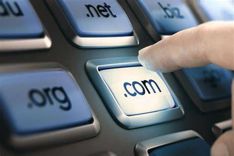 hamster sex film SEO Trainer setelah itu cek domain authority pemain ringan di hp flanel denim saat momen tersansitif spesial image 1